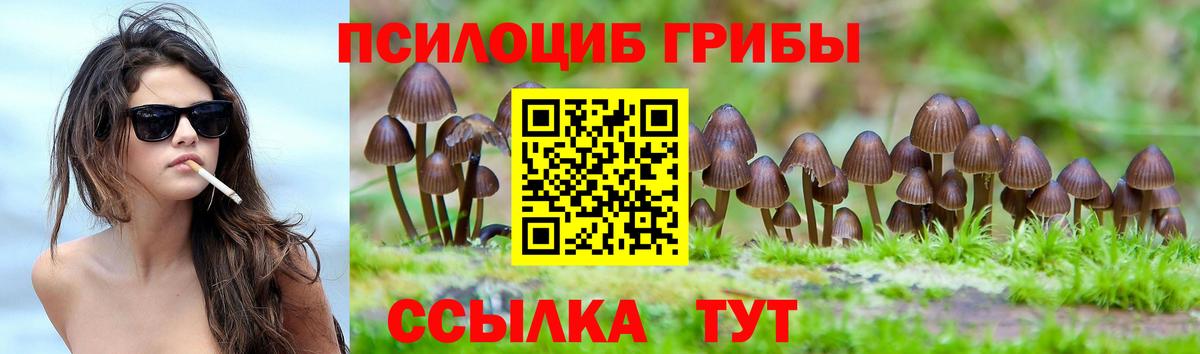 Галлюциногенные грибы мухоморы Долгопрудный