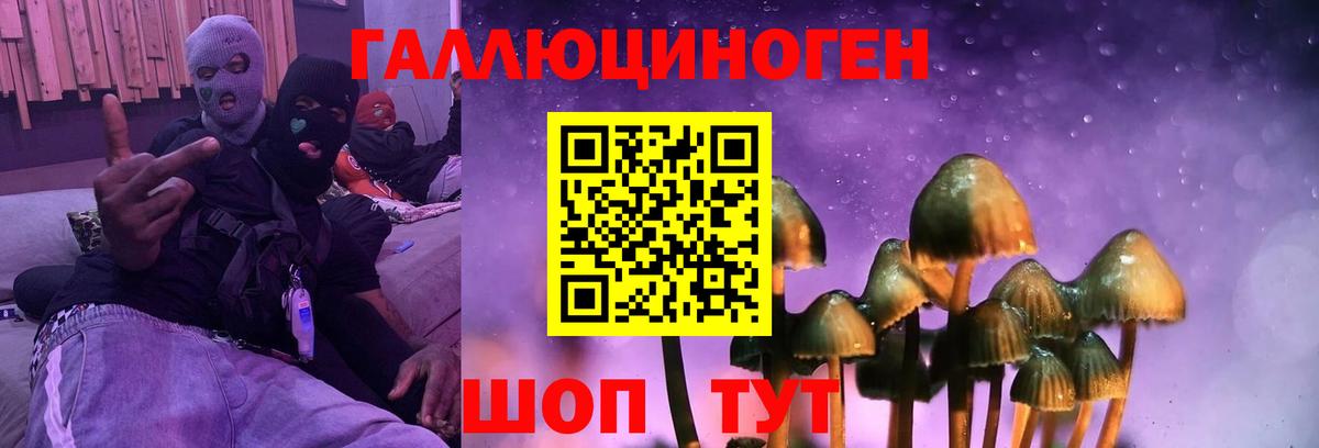 Долгопрудный  Псилоцибиновые грибы Magic Shrooms  купить наркоту  Вход с VPN 